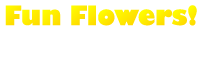 Fun Flowers!